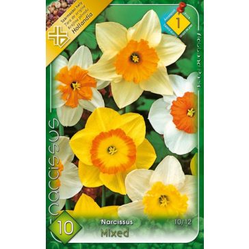   Nagyvirágú nárcisz mix / Narcissus Large flowered mix 8 db (LA)