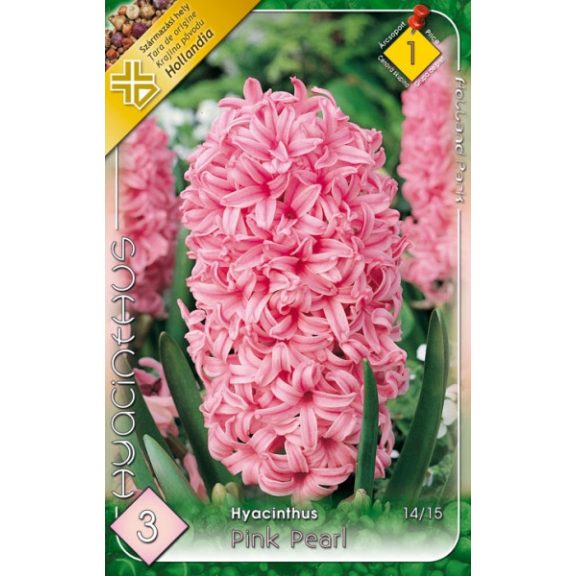 Jácint rózsaszín / Hyacinthus Pink Pearl 3 db (LA)