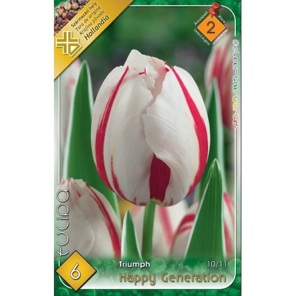 Tulipán Happy Generation / Tulipa Happy Generation 6 db (LA)