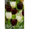 Tulipán Duó fekete-fehér / Tulipa Duo Black & White 6 db (LA)