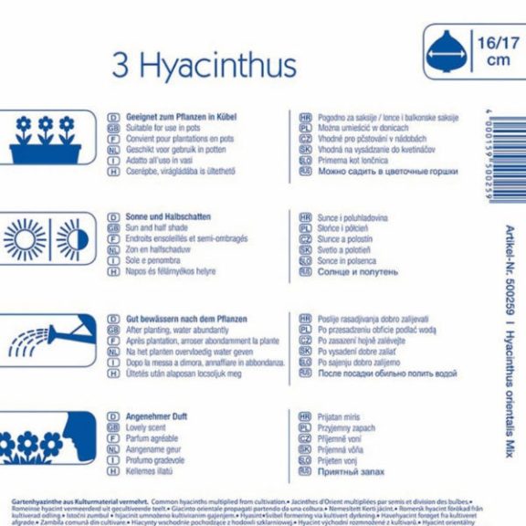 Jácint színkeverék (KP)