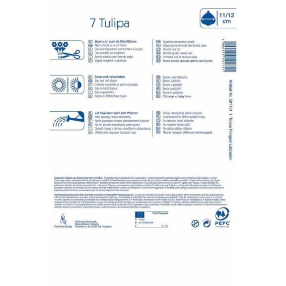 Profi-Line Tulipán Labrador (KP)