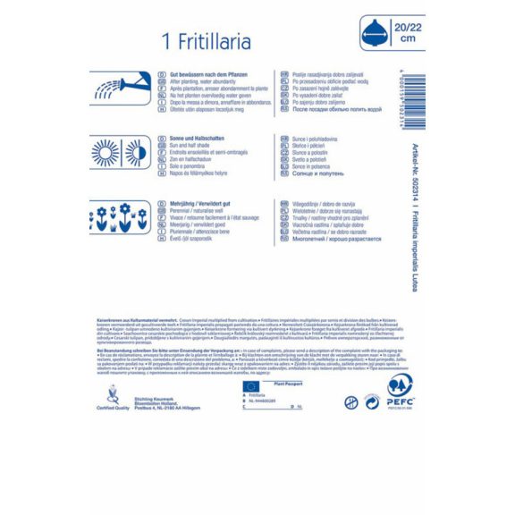 Fritillaria Lutea (császárkorona) 1 db virághagyma (KP)