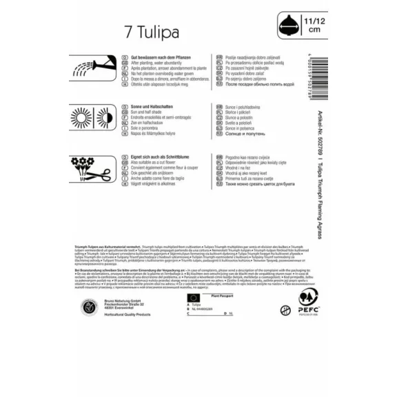 Triumph tulipán Flaming Agrass (KP)