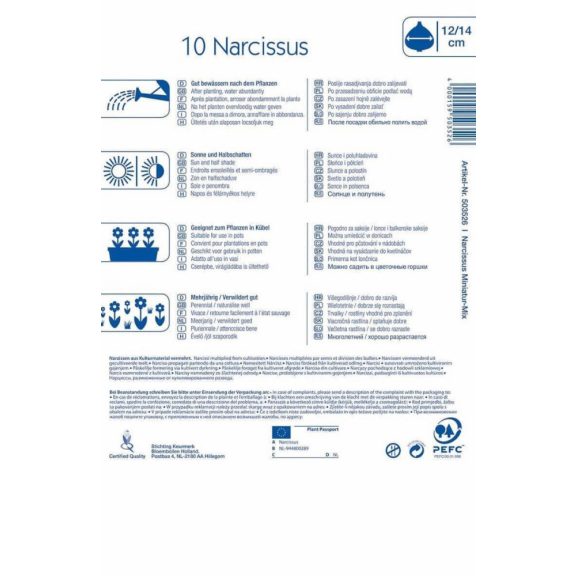 Nárcisz Miniatur-Mix (sziklakerti keverék) 10 db virághagyma (KP)