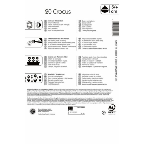 Botanikai krókusz színkeverék 20 db virághagyma (KP)