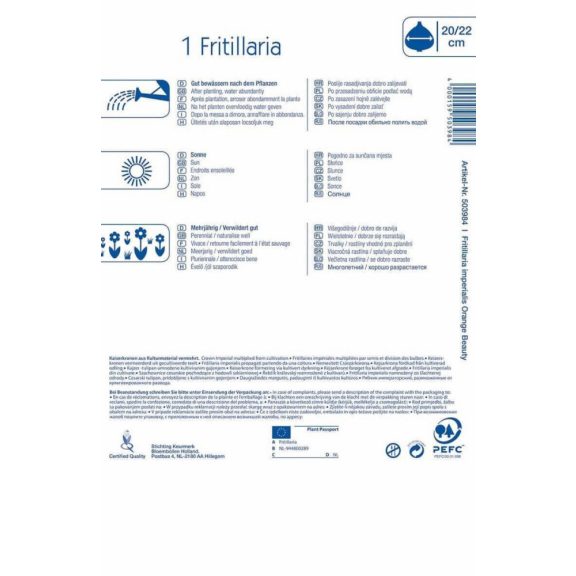 Fritillaria Orange Beauty (császárkorona) 1 db virághagyma (KP)