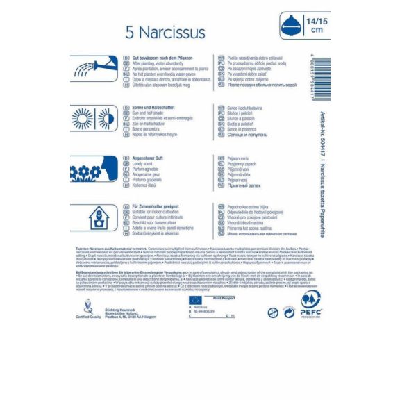 Nárcisz Paperwhite 5 db virághagyma (KP)