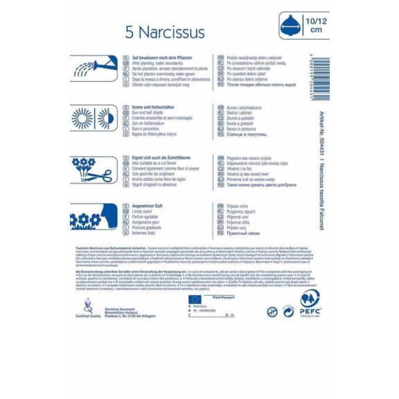 Botanikai nárcisz Falconet 7 db virághagyma (KP)