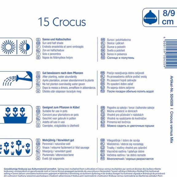 Nagyvirágú krókusz színkeverék 15 db virághagyma (KP)