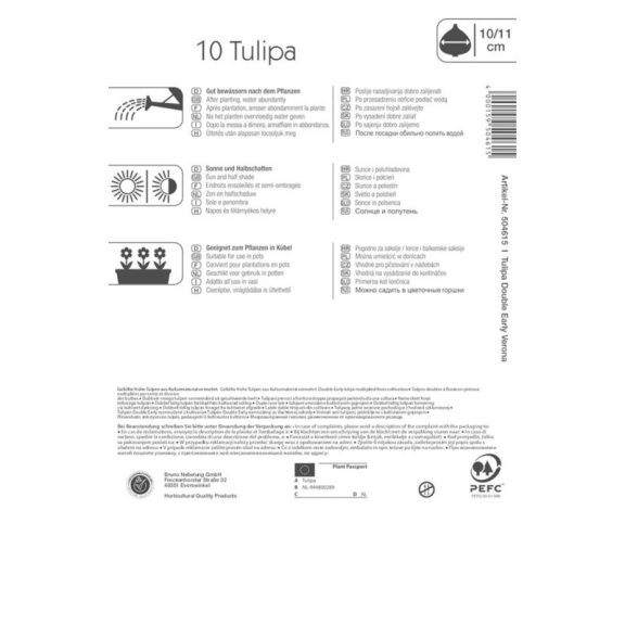 Profi-Line Tulipán Verona (KP)