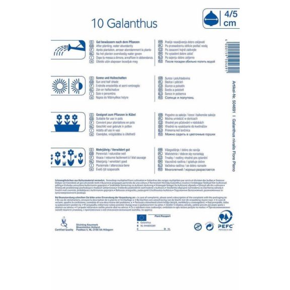 Galanthus Flore Pleno (hóvirág) 10 db virághagyma (KP)