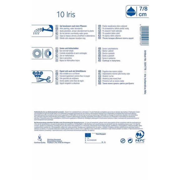 Iris hollandica színkeverék 10 db virághagyma (KP)