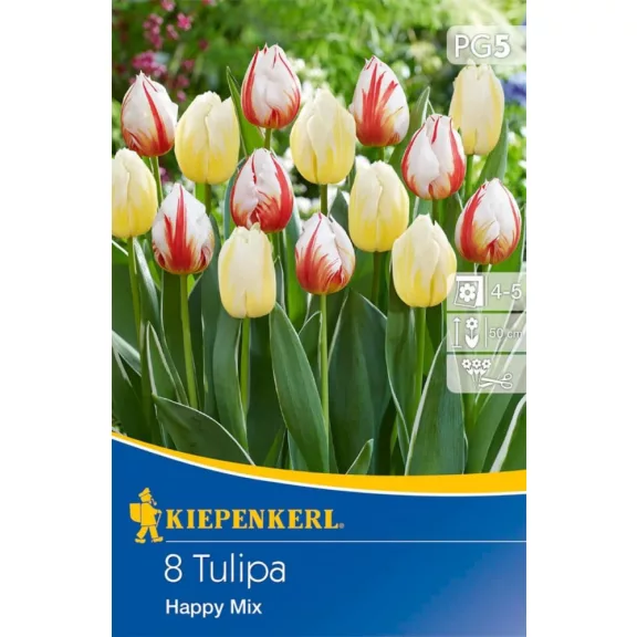 Triumph tulipán Happy Mix  7 db virághagyma (KP)