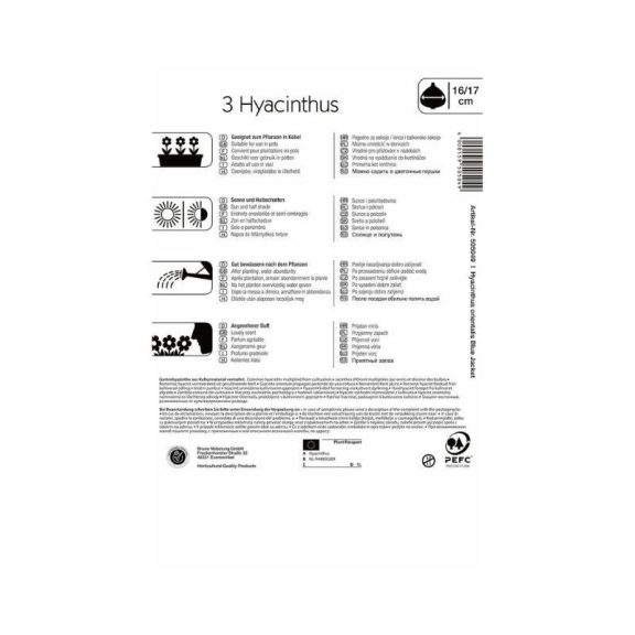 Jácint Blue Jacket (KP)