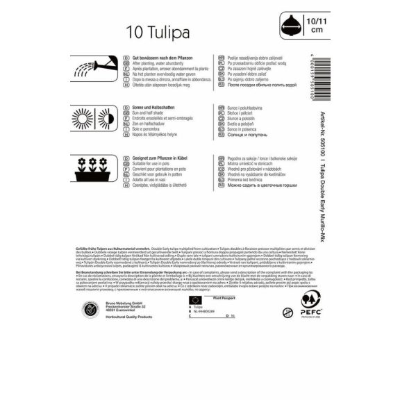 Tulipán Murillo-Mix (korai teltvirágú színkeverék) 10 db virághagyma (KP)