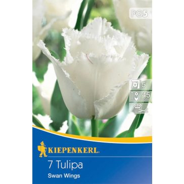 Rojtos Tulipán Swan Wings (KP)