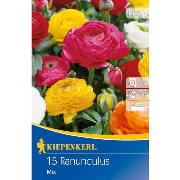 Ranunculus Aviv-mix (boglárka) 15 db virághagyma (KP)