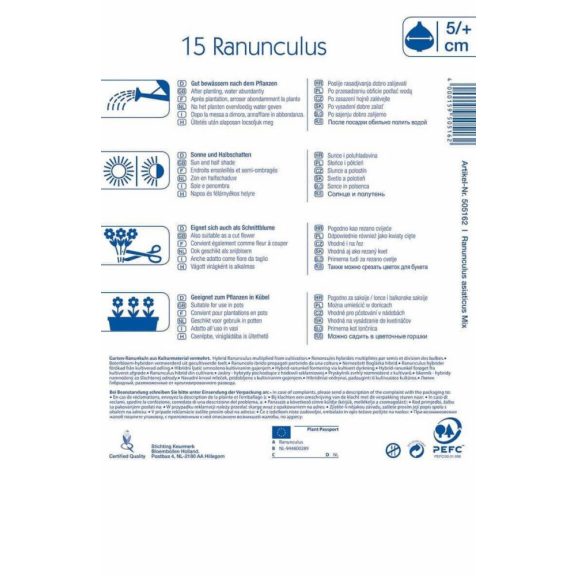 Ranunculus Aviv-mix (boglárka) 15 db virághagyma (KP)