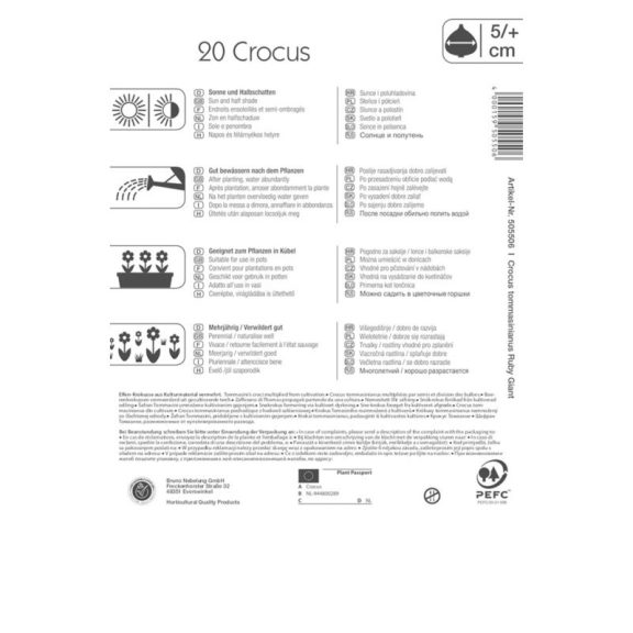 Botanikai krókusz Ruby Giant (KP)