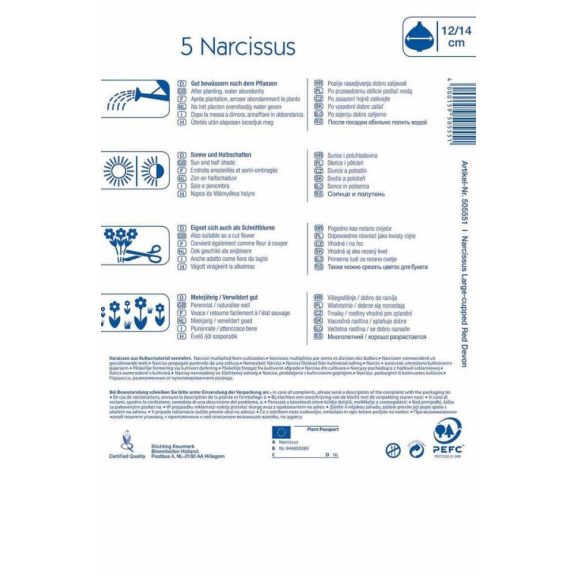 Nagykoronájú nárcisz Red Devon 5 db virághagyma (KP)