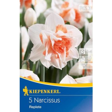 Teltvirágú nárcisz Replete (KP)