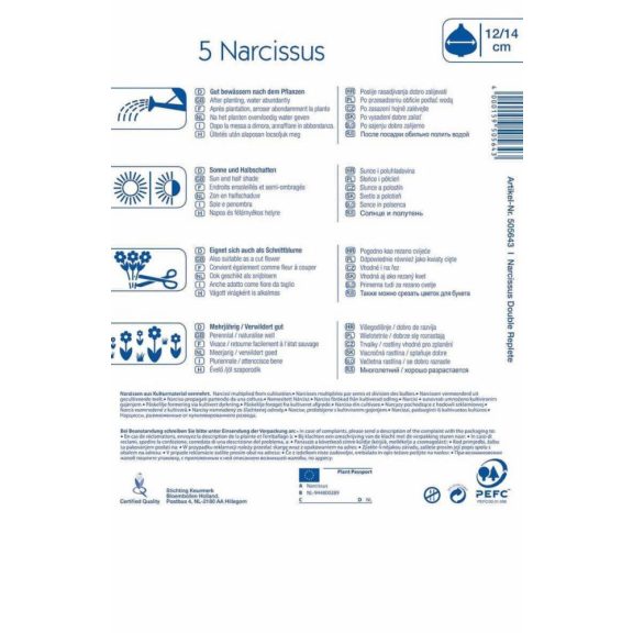 Teltvirágú nárcisz Replete (KP)