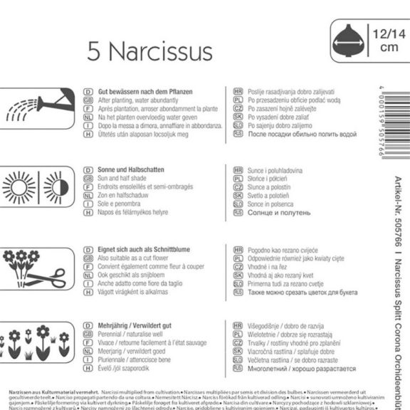 Nárcisz orchideavirágú keverék (KP)