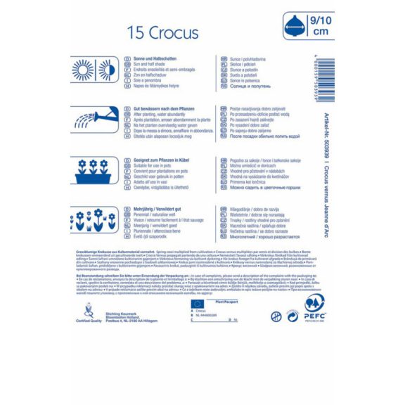 Nagyvirágú krókusz Jeanne d' Arc/Weiss 12 db virághagyma (KP)