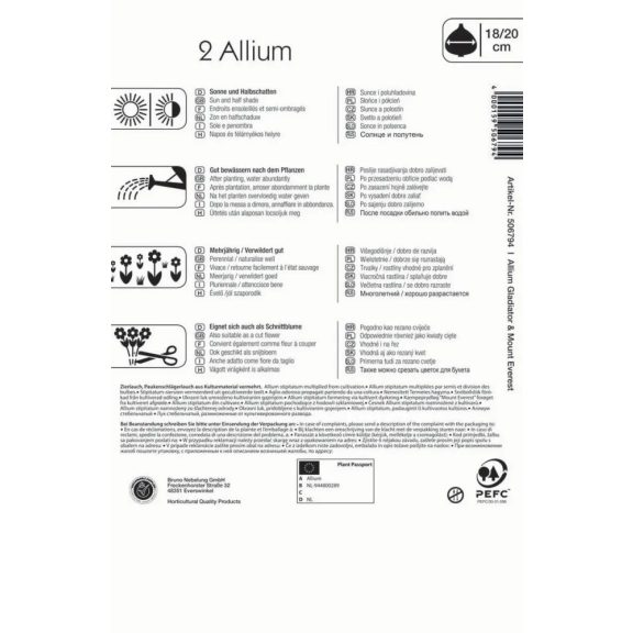 Allium kék és fehér,(Blau & weiss) (KP)