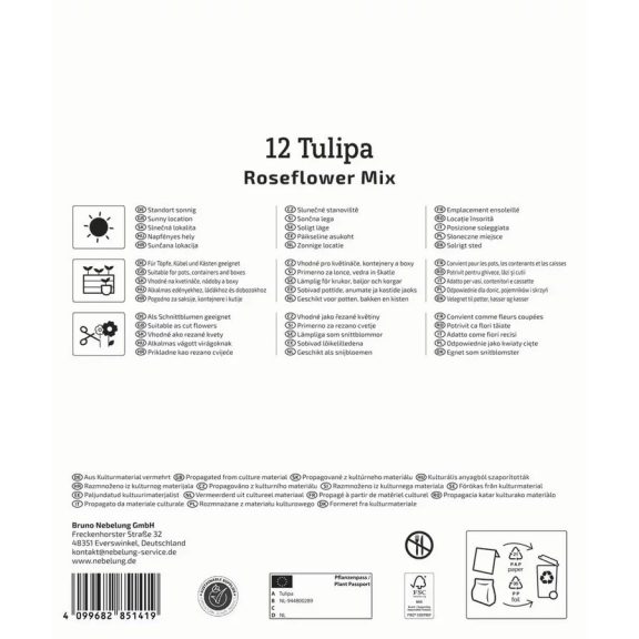 Mega-Pack Tulipán Roseflower-Mix (teltvirágú) 12 db virághagyma (KP)