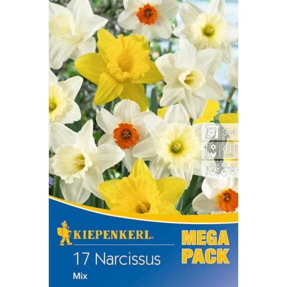 Mega-Pack Nárcisz nagyvirágú színkeverék 17 db virághagyma (KP)