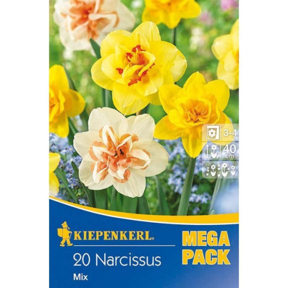 Mega-Pack Nárcisz teltvirágú színkeverék 18 db virághagyma (KP)