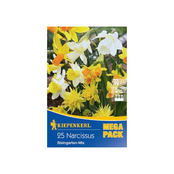 Mega-Pack Botanikai nárcisz sziklakerti keverék  20 db virághagyma (KP)