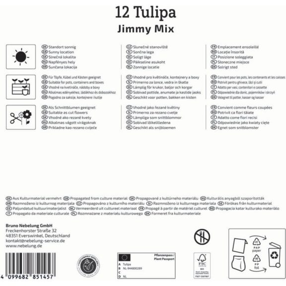 Mega-Pack Tulipán Jimmy Mix 12 db virághagyma (KP)