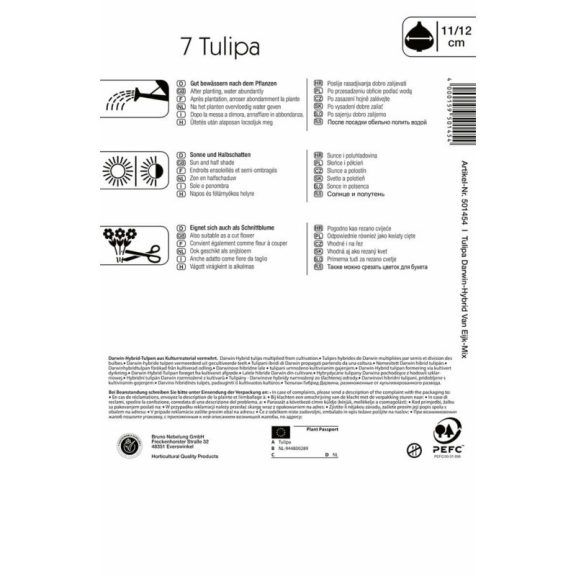 Darwin-hibrid tulipán Van Eijk színkeverék 10 db virághagyma (KP)