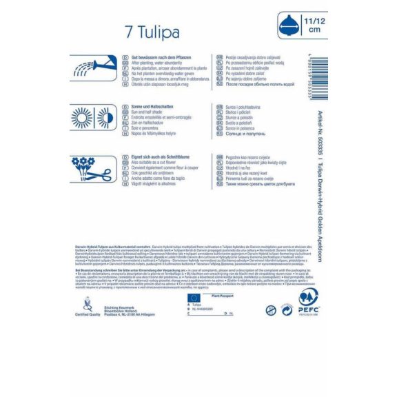 Darwin-hibrid tulipán Golden Apeldoorn 10 db virághagyma (KP)