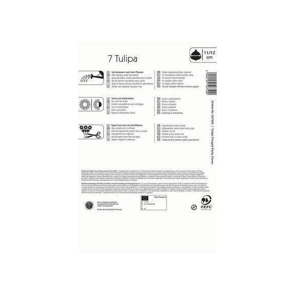 Rojtos tulipán Party Clown 7 db virághagyma (KP)