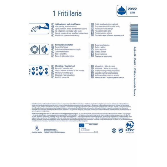 Fritillaria Aurora (császárkorona) 1 db virághagyma (KP)