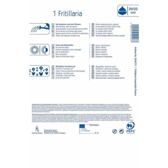 Fritillaria Rubra (császárkorona) (KP)