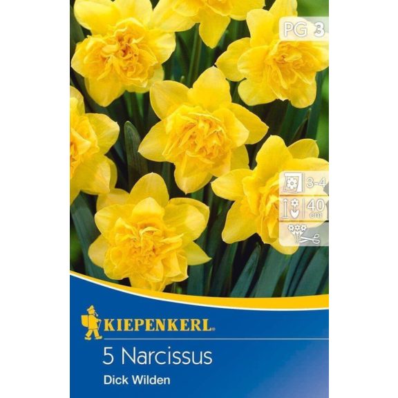 Teltvirágú nárcisz Dick Wilden 5 db virághagyma (KP)