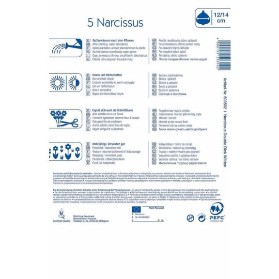 Teltvirágú nárcisz Dick Wilden 5 db virághagyma (KP)