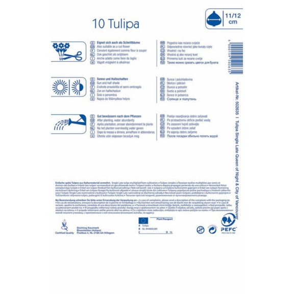 Tulipán-Duo Night and Day 8 db virághagyma (KP)