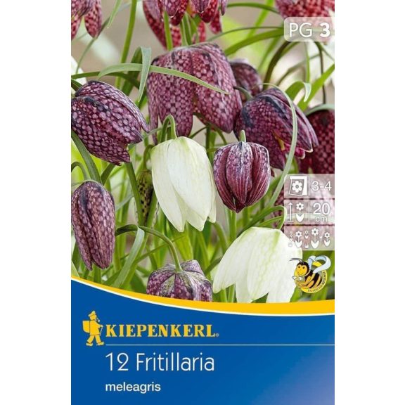Fritillaria meleagris Mix (kockás liliom) 15 db virághagyma (KP)