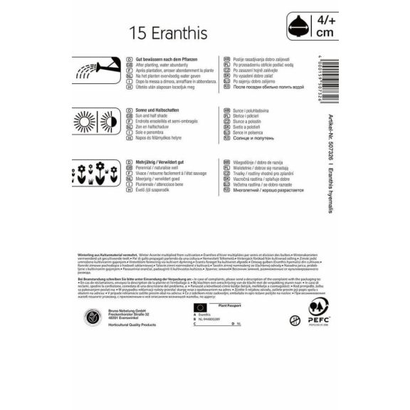 Eranthis hyemalis (téltemető) 12 db virághagyma (KP)