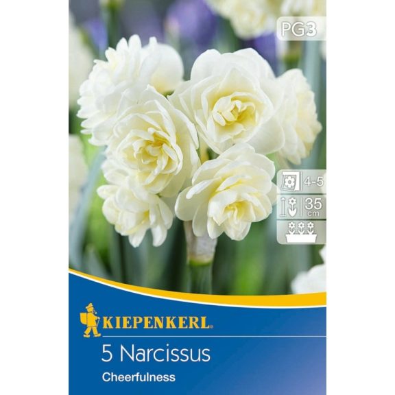 Teltvirágú nárcisz Cheerfulness 5 db virághagyma (KP)