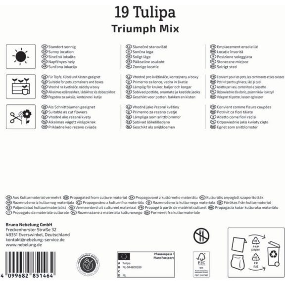 Mega-Pack Tulipán Triumph-Mix 19 db virághagyma (KP)