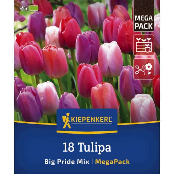 Mega-Pack Tulipán Big Pride Mix  18 db virághagyma (KP)