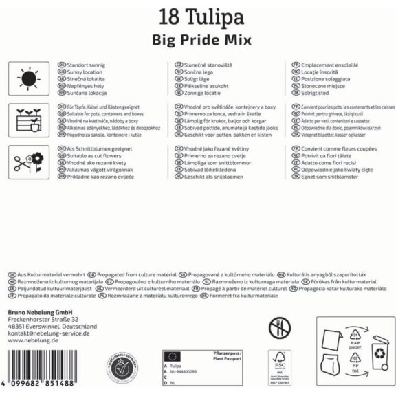 Mega-Pack Tulipán Big Pride Mix  18 db virághagyma (KP)