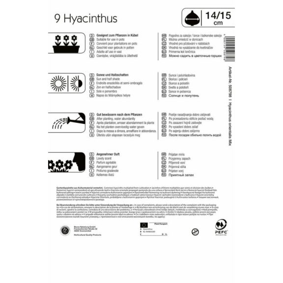 Mega-Pack Jácint színkeverék 9 db virághagyma (KP)